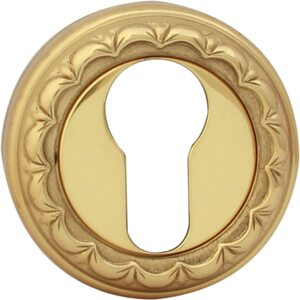 Накладка Cyl на розетке D Полированная латунь